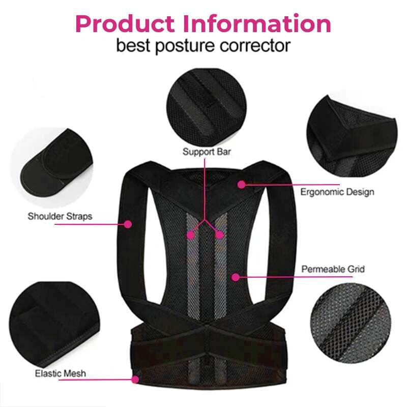 Posture Belt