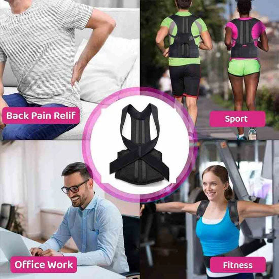 Posture Belt