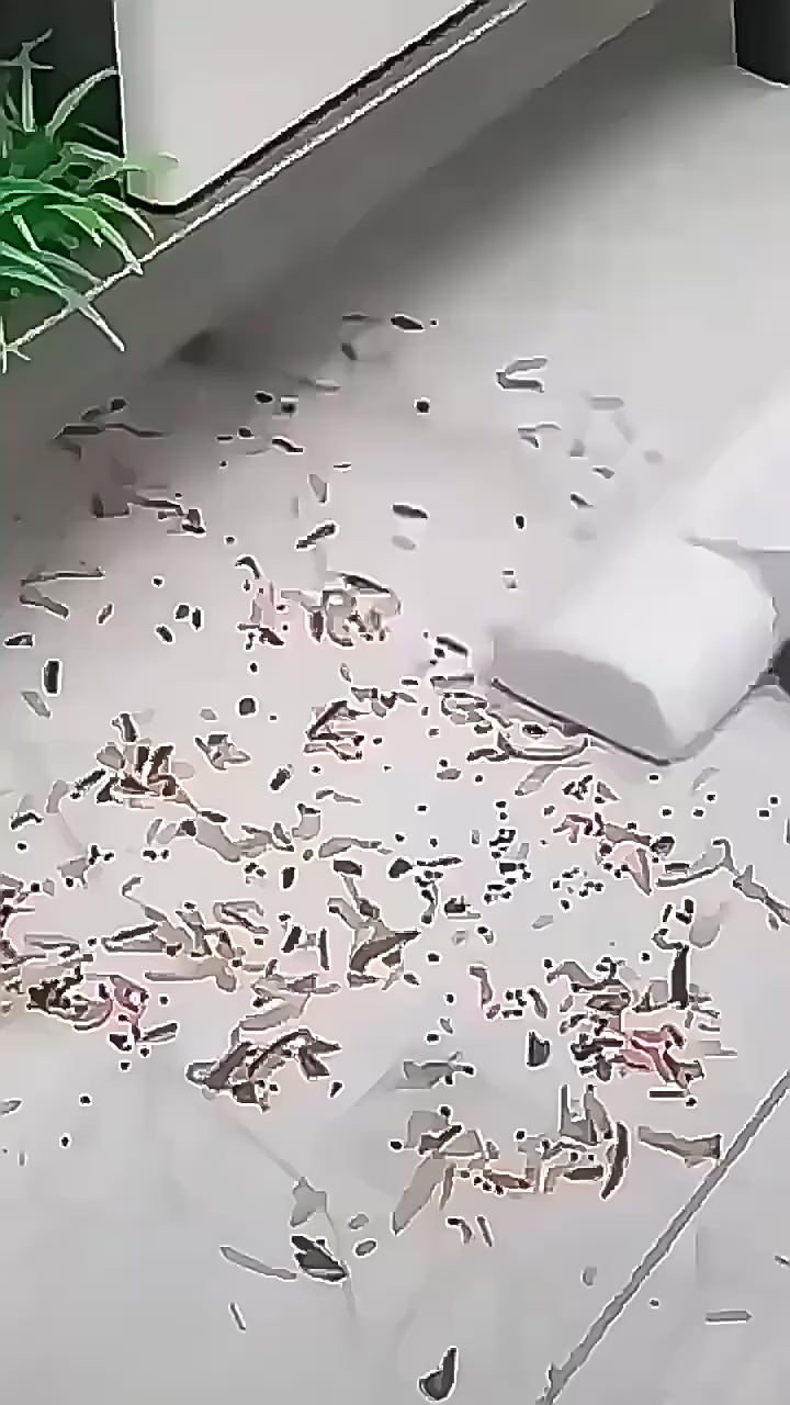 Wireless High-power Vacuum Cleaner